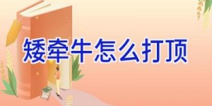 矮牵牛怎么打顶