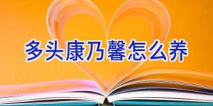 多头康乃馨怎么养