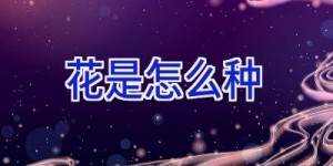 花是怎么种