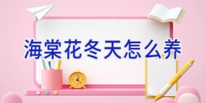 海棠花冬天怎么养