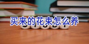 买来的花束怎么养