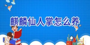 麒麟仙人掌怎么养