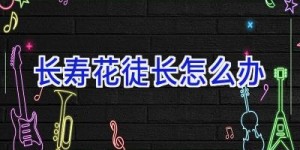 长寿花徒长怎么办