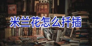 米兰花怎么扦插