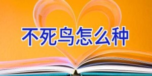 不死鸟怎么种