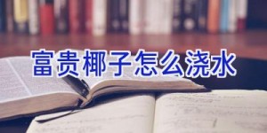 富贵椰子怎么浇水