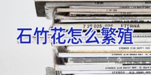 石竹花怎么繁殖