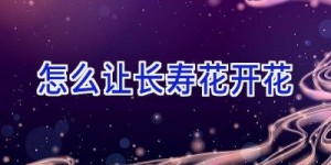 怎么让长寿花开花