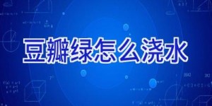 豆瓣绿怎么浇水