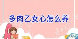 多肉乙女心怎么养