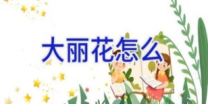 大丽花怎么