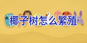 椰子树怎么繁殖