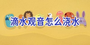 滴水观音怎么浇水