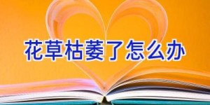 花草枯萎了怎么办