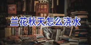 兰花秋天怎么浇水