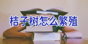 桔子树怎么繁殖