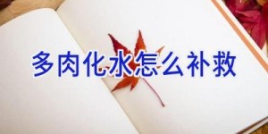 多肉化水怎么补救