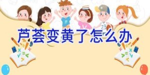 芦荟变黄了怎么办