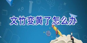 文竹变黄了怎么办