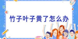 竹子叶子黄了怎么办