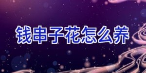 钱串子花怎么养