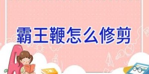 霸王鞭怎么修剪