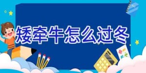 矮牵牛怎么过冬