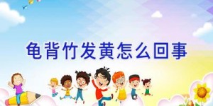 龟背竹发黄怎么回事