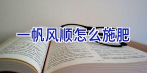 一帆风顺怎么施肥