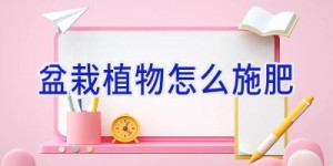 盆栽植物怎么施肥