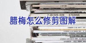 腊梅怎么修剪图解