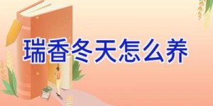 瑞香冬天怎么养