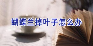 蝴蝶兰掉叶子怎么办