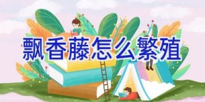 飘香藤怎么繁殖