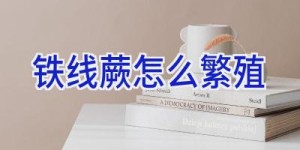 铁线蕨怎么繁殖