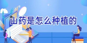 山药是怎么种植的