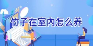 竹子在室内怎么养