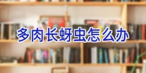 多肉长蚜虫怎么办