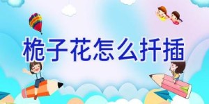 桅子花怎么扦插