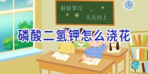 磷酸二氢钾怎么浇花