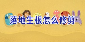 落地生根怎么修剪