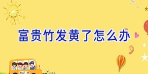 富贵竹发黄了怎么办