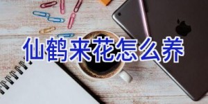 仙鹤来花怎么养