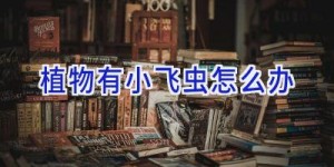 植物有小飞虫怎么办