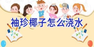 袖珍椰子怎么浇水