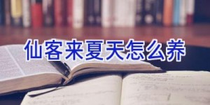 仙客来夏天怎么养