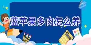 蓝苹果多肉怎么养