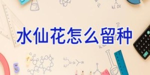 水仙花怎么留种