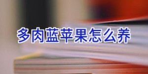 多肉蓝苹果怎么养