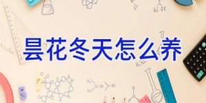 昙花冬天怎么养